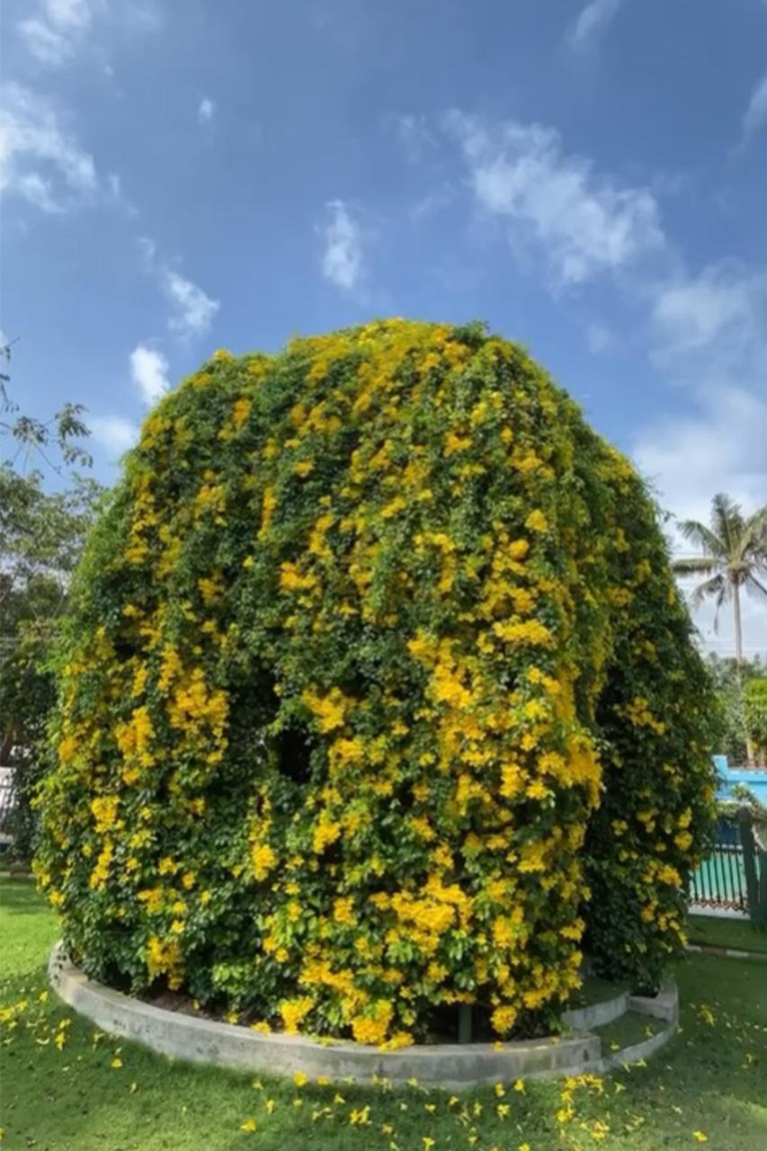 Heavenly Garden location 4