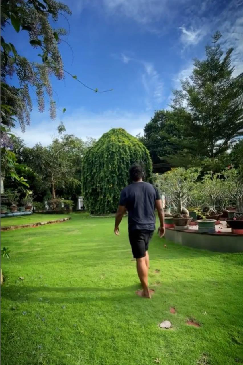 Heavenly Garden location 5